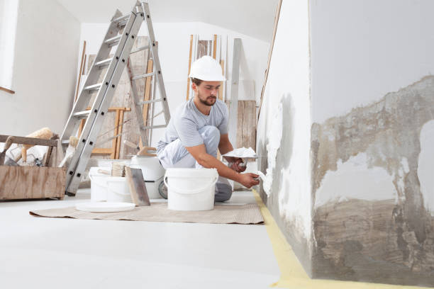 Best Mold-Related Health Consultation  in Clifton Gardens, NY