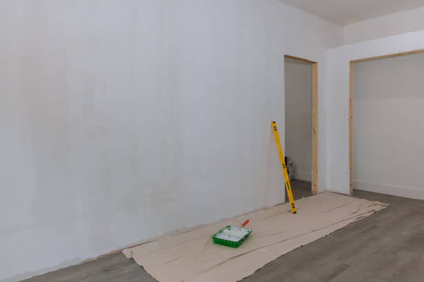 Clifton Gardens, NY Mold Removal Company
