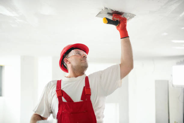 Best Mold Prevention Services  in Clifton Gardens, NY