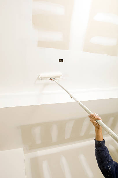 Best Water Damage & Mold Remediation  in Clifton Gardens, NY