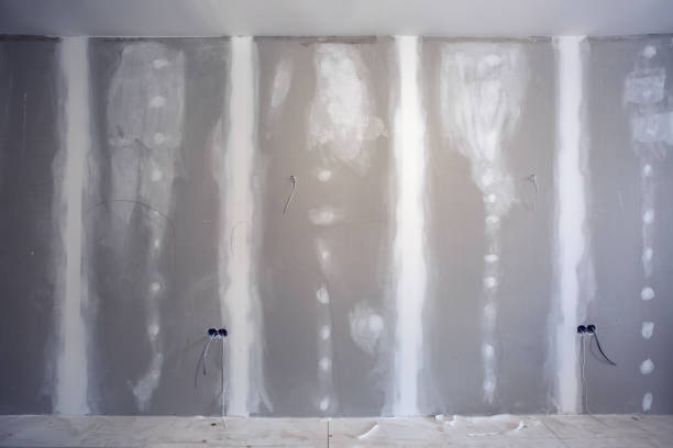 Mold Odor Removal Services in Clifton Gardens, NY